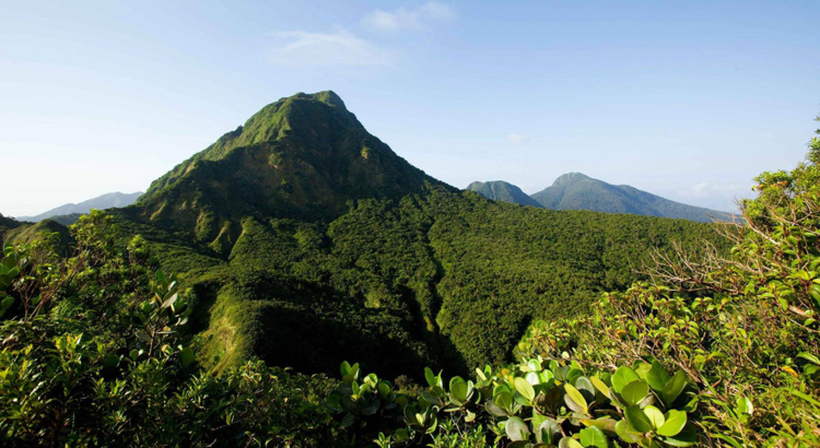 Dominica